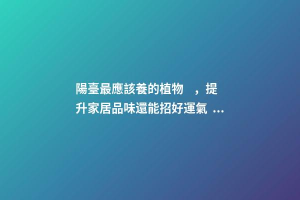 陽臺最應該養的植物，提升家居品味還能招好運氣、阻隔不良氣場